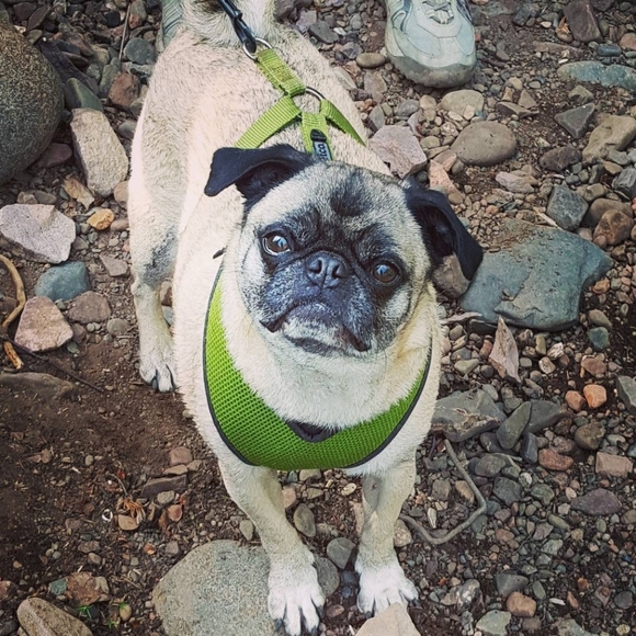 Meet your Posher, Jackie - Picture 15 of 16